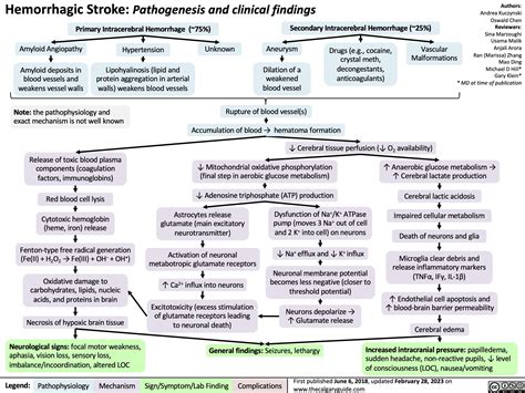 Hemorrhagic Stroke: Pathogenesis and Clinical Findings | Calgary Guide