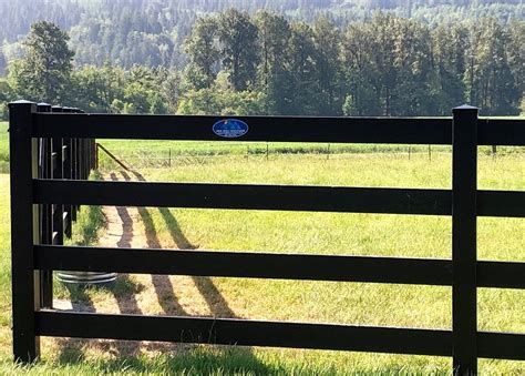 Best Black Paint For Horse Fence – View Painting