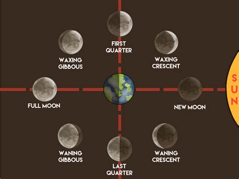 How to Make a Moon Phases Chart: 12 Steps (with Pictures)