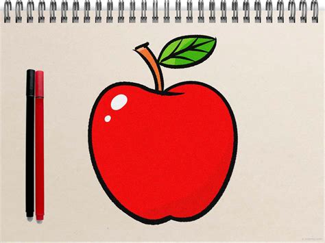 Apple Drawing » How to draw an Apple Step by Step