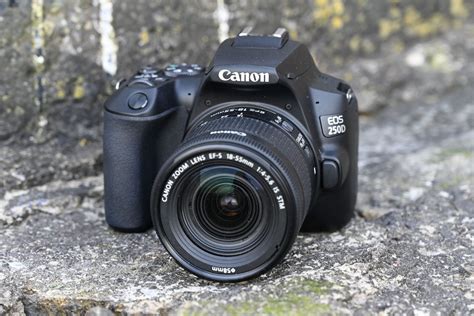 Best DSLR: the 9 best cameras for all skill levels | Trusted Reviews