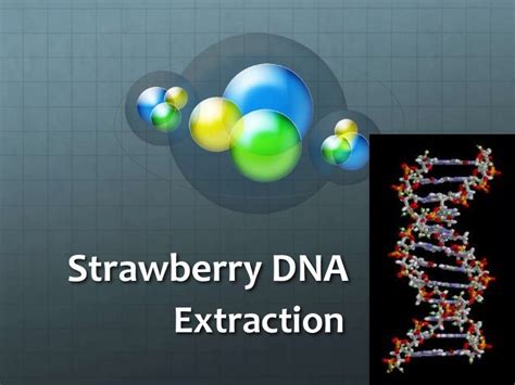 Strawberry dna