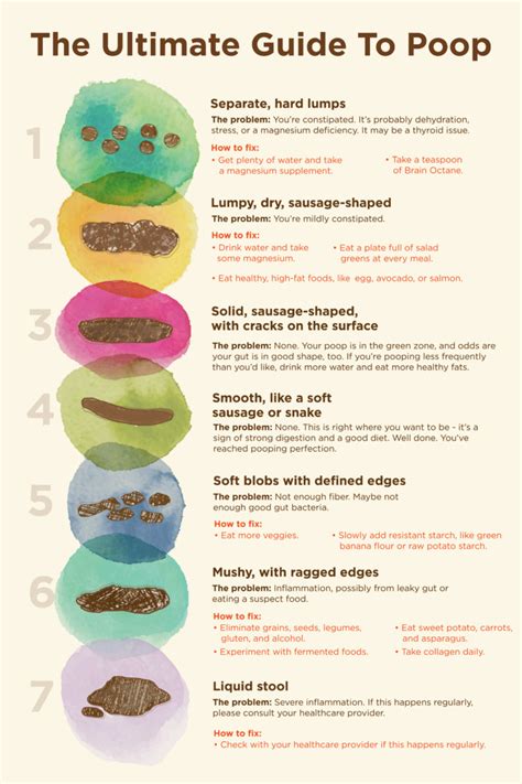 light colored bowel movement decoratingspecialcom - bowel charts the work of the devil ...