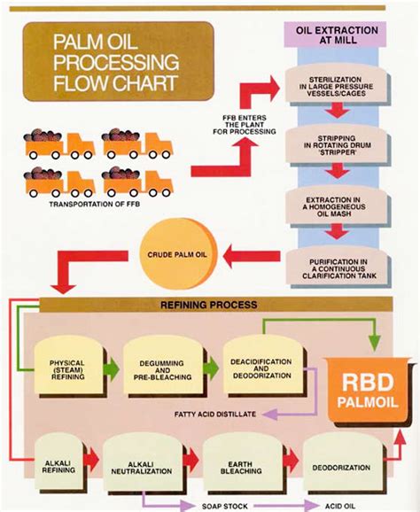 Modern palm oil processing method_Manufacture Palm oil extraction ...