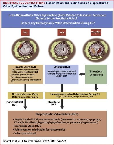 Standardized Definitions for Bioprosthetic Valve Dysfunction Following ...