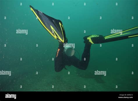 Scuba diver fins in murky water Stock Photo - Alamy