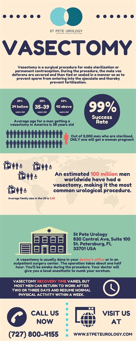 male vasectomy doctors near me - Luba Rau