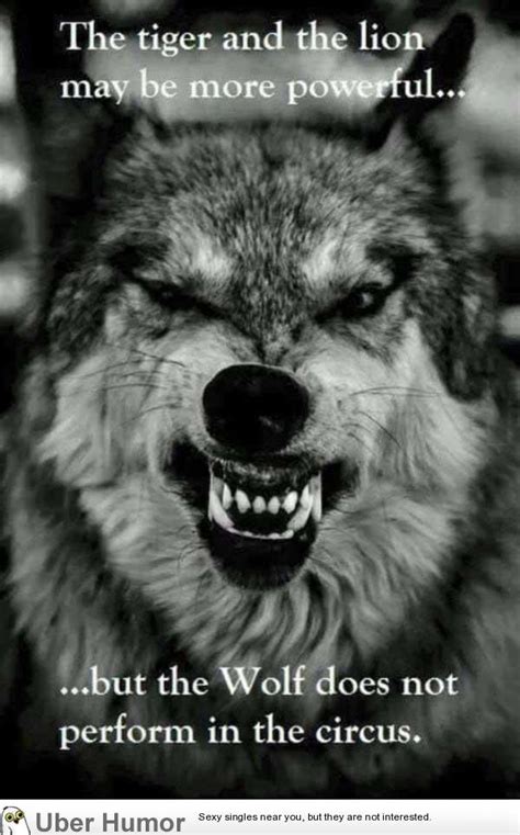 Wolf Pack With Its Quotes. QuotesGram