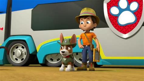 Paw Patrol Season 4 Episode 20 – Pups Save the Mail / Pups Save a Frog ...