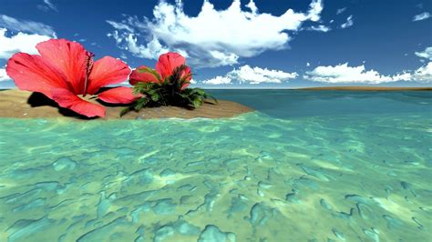 Flowers Tropical Beach Wallpapers - Top Free Flowers Tropical Beach ...