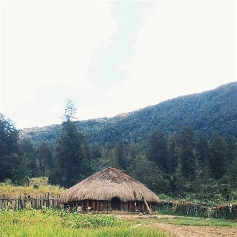 Honai is the traditional house of Papua tribes who live in the central ...