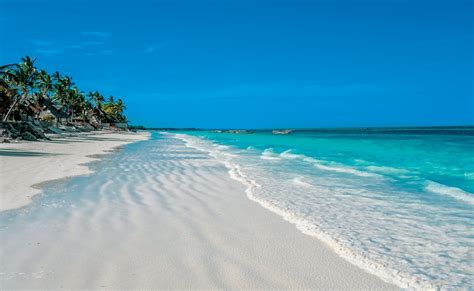 Kiwengwa Beach | Travel Guides to Kiwengwa Zanzibar!