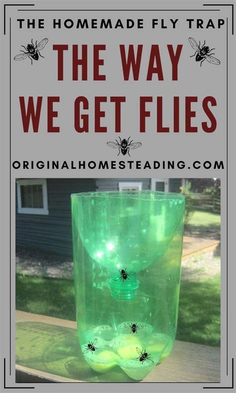 Diy Bug Zapper Bait | Home and Garden Reference