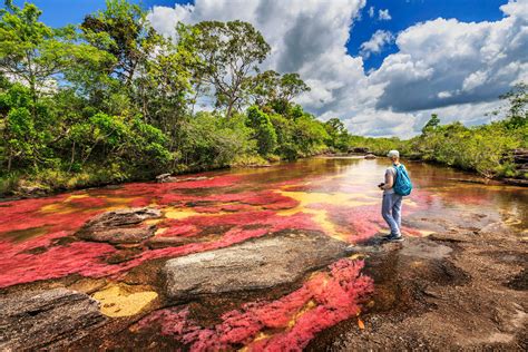 The best 9 national parks in Colombia - Lonely Planet