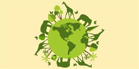 Top 5 conservation Projects for Wildlife in India - iPleaders