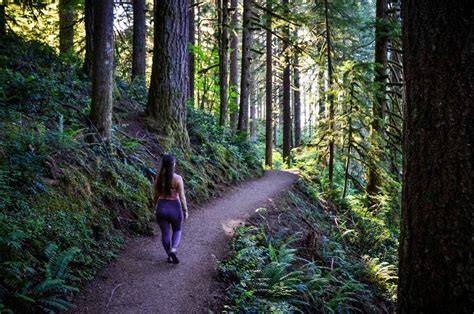 Hiking Oregon's Central Coast Rainforests Road Scholar ...