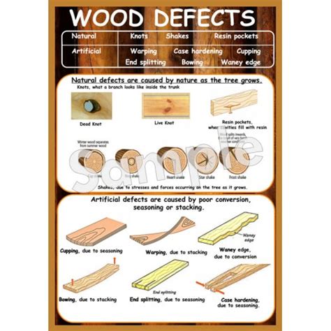 Wood Defects Poster - Ashmore Learning Solutions