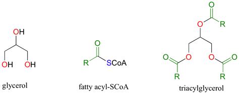 20.9: Thioesters: Biological Carboxylic Acid Derivatives - Chemistry ...