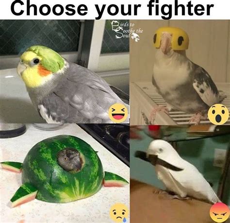 Is This A Bird Meme Template