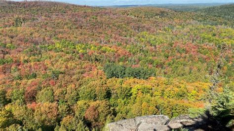 Fall colors in Minnesota: Where to see the best fall foliage | FOX 9 ...