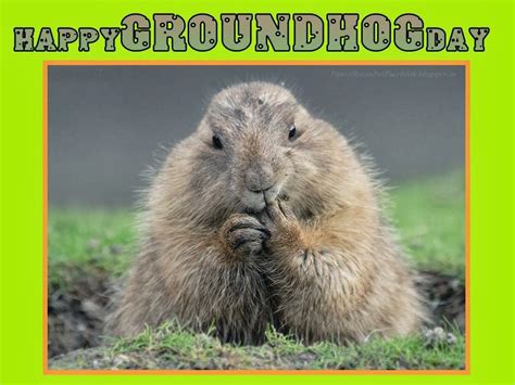 Groundhog Day Movie Quotes Sayings. QuotesGram