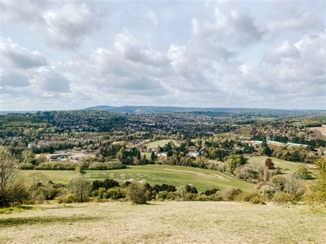 Box Hill, Surrey | A Complete Walking Guide | Cat's Nine Lives