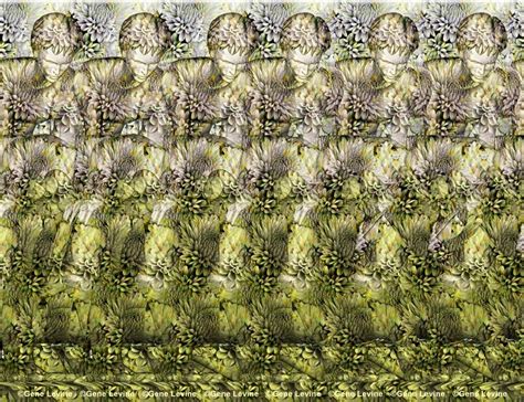 Leapfrog Stereogram by Gene Levine | An Optical Illusion