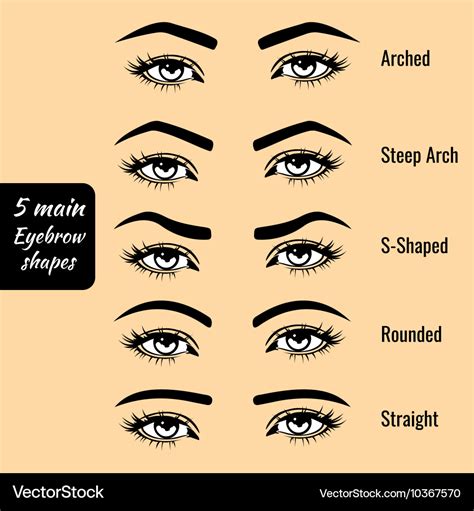 Eyebrow Pictures Shapes - EyebrowShaper