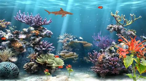 Download Of The Best: FISH TANK ANIMATED SCREENSAVER