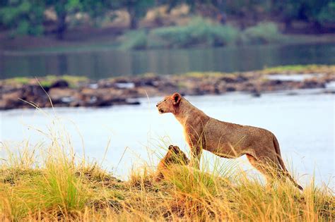 The National Parks Of Zimbabwe - WorldAtlas