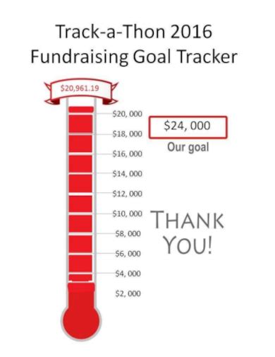 FREE 10+ Fundraising Goal Tracker Samples in PDF