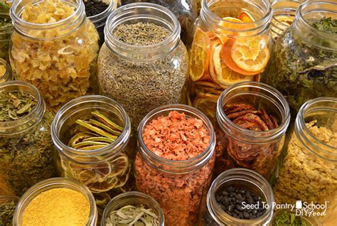 16 Facts You Should Know Before Dehydrating Food - Seed To Pantry School