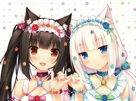 white hair, Brunette, Blue eyes, Anime, Anime girls, Neko Para ...