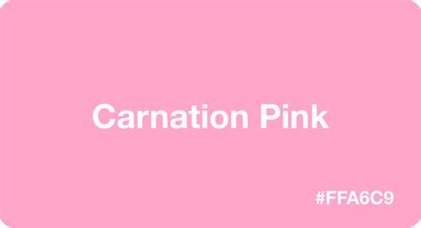 Carnation Pink Color With HEX Code