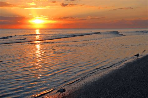 Sanibel Island Sunset - Things to Do in Sanibel Island