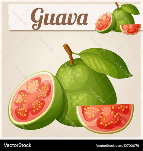 Guava fruit cartoon icon Royalty Free Vector Image