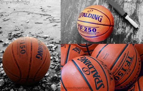 Basketball Size Guide