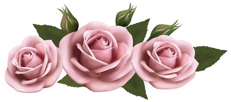 Rose Pink Clip art - Light Pink Rose PNG Clipart | Цветочные бордюры ...