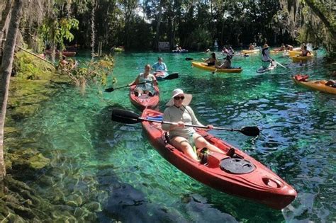 Three Sisters Springs Kayak And Swim Eco-Tour Crystal River