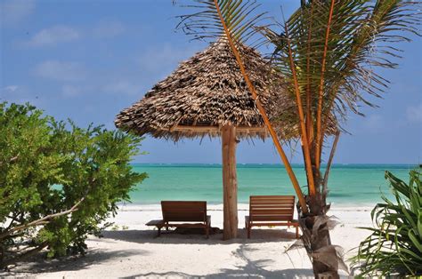 Idyllic Zanzibar Beaches To Visit in Tanzania - The Thought Card