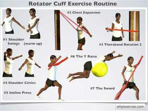 Rotator Cuff Exercises With Bands at Willie Duncan blog