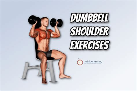 11 Best Dumbbell Shoulder Exercises With Example Workout