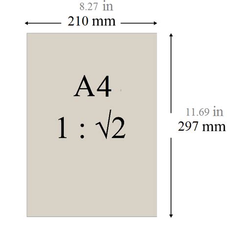 A4 paper size in inches, cm, and mm - Check Its Layout👉