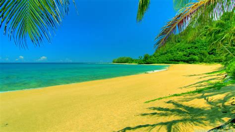 Summer Beach Scenes Wallpaper - WallpaperSafari