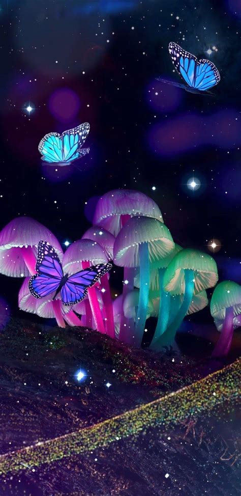 Neon Butterfly Wallpapers - Top Free Neon Butterfly Backgrounds ...