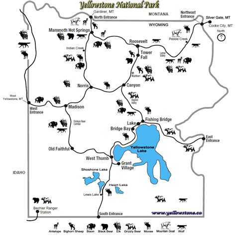 Yellowstone National Park Map - The Best Maps of Yellowstone