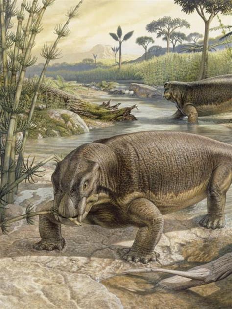 The Permian Period and Extinction | Prehistoric wildlife, Prehistoric ...