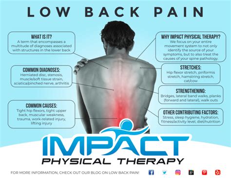 Low Back Pain - Impact Physical Therapy