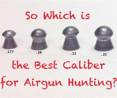 Which is the best Caliber for Airgun Hunting?