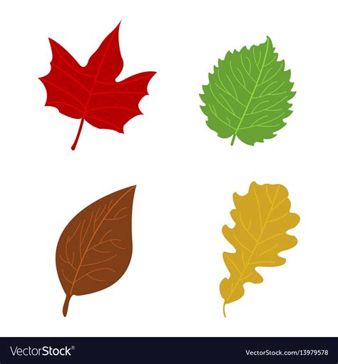 Cartoon flat autumn leaves Royalty Free Vector Image